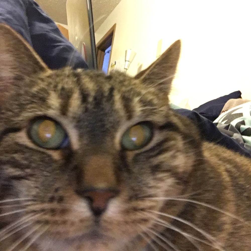 Meet your Posher, Rachel